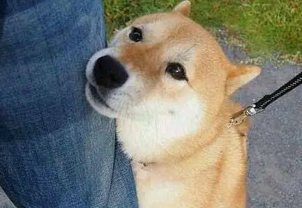 肩上的脚丫