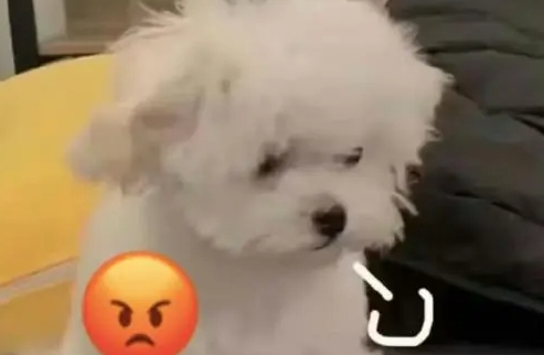 * 正中眉心