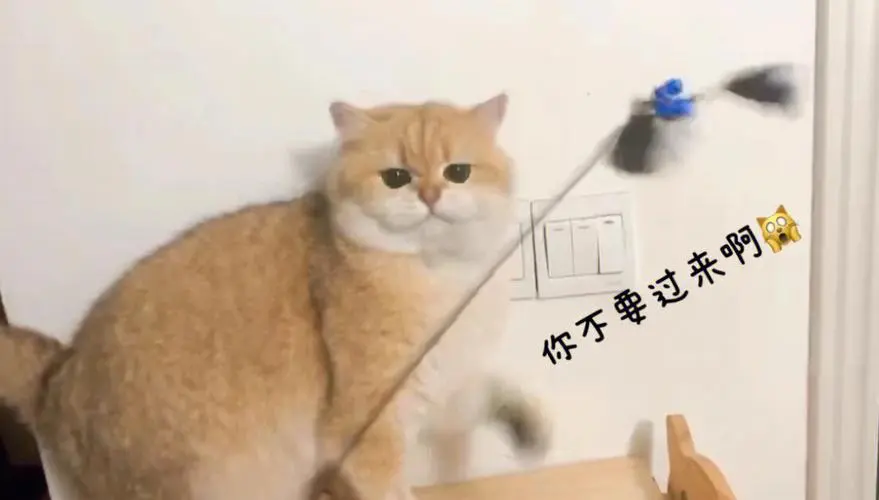 惹