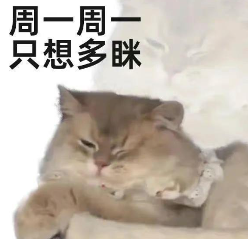 最猛的一还得是周一