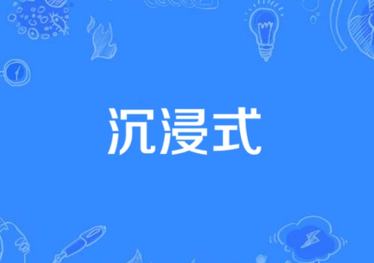沉浸式