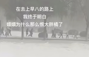 果郡王口碑一夜逆转
