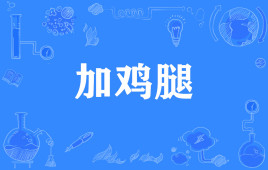 摄影师晚餐加根鸡腿