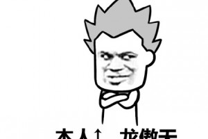龙傲天是什么意思
