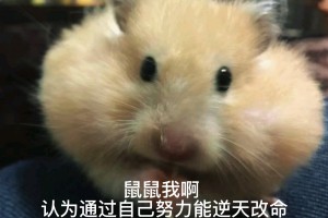 鼠鼠我呀是什么意思