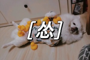 聊天框戰(zhàn)神是什么意思