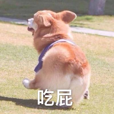 你在想屁吃