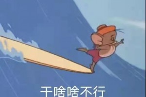 这是评论区不是无人区是什么意思