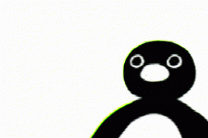 noot noot是什么意思