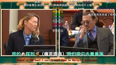 我的狗踩到了蜜蜂