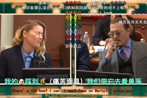 我的狗踩到了蜜蜂是什么意思