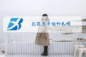 起夜急李姐是什么意思
