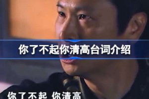 你了不起,你清高是什么意思