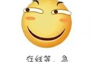 在線等挺急的是什么意思