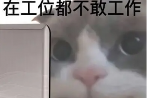 很內(nèi)向是什么意思