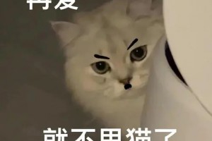 再愛就不禮貌了是什么意思