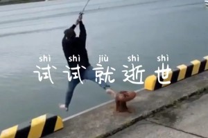 試試就逝世是什么意思