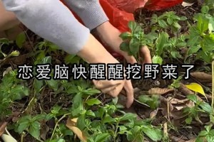 給戀愛(ài)腦的姐妹挖野菜是什么意思