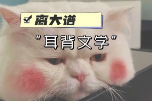 耳背文學(xué)是什么意思