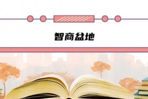 智商盆地是什么意思