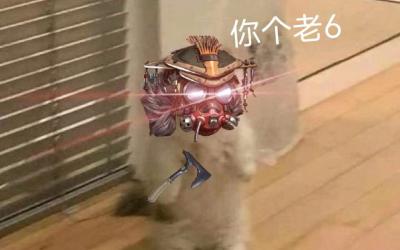 你個(gè)老6