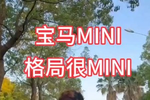 格局太MINI是什么意思
