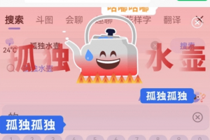孤獨(dú)水壺是什么意思