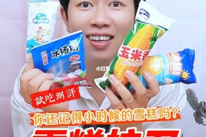 雪糕護(hù)衛(wèi)是什么意思