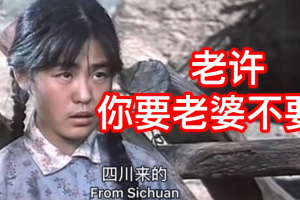 你要老婆不要是什么意思
