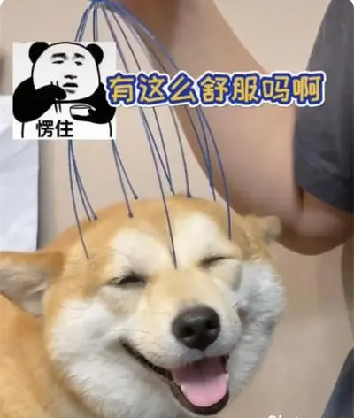 灵魂提取器