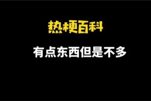 有點東西但是不多是什么意思