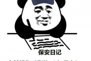 ?保安日記是什么意思