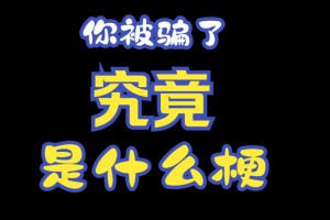 你被騙了梗是什么意思