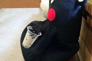 奶茶肚是什么意思