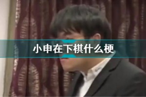 小申在下棋是什么意思