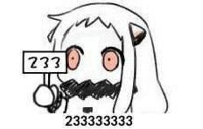 23333