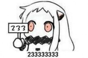 23333是什么意思