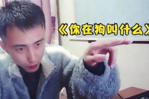 你在狗叫什么是什么意思