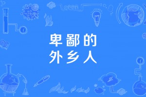 卑鄙的外乡人是什么意思