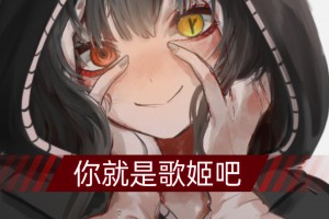 你就是歌姬吧是什么意思