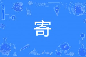 寄是什么意思