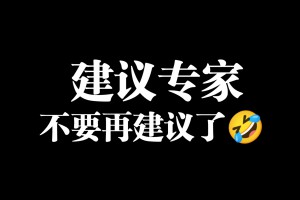 建议专家不要建议是什么意思