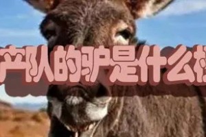 生產(chǎn)隊的驢是什么意思