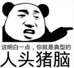 猪脑过载