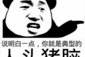 豬腦過載是什么意思
