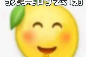 我真的會(huì)謝是什么意思