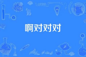 啊對(duì)對(duì)對(duì)是什么意思