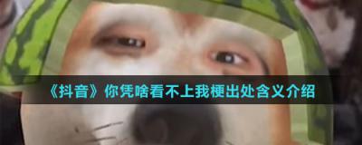 你憑啥看不上我