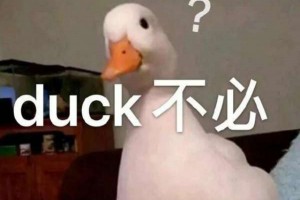 duck不必是什么意思