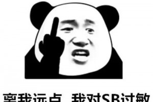 “你二臂吧”,“你兩只胳膊吧”是什么意思